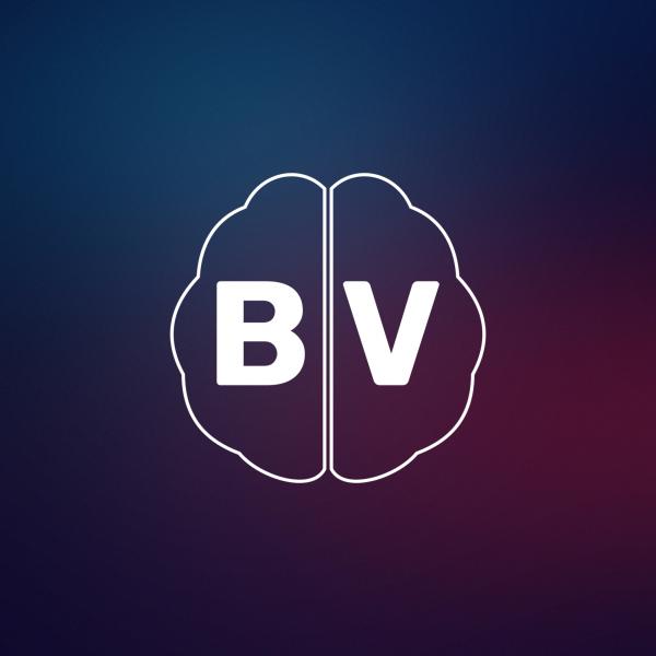 Организатор BRAINVENTURA